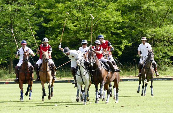 Copenhagen Polo Club