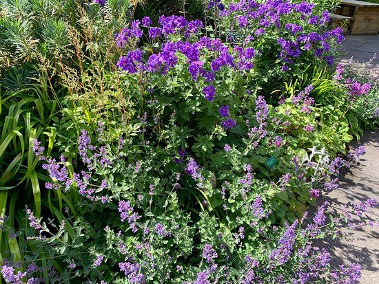 Inverness Botanic Gardens