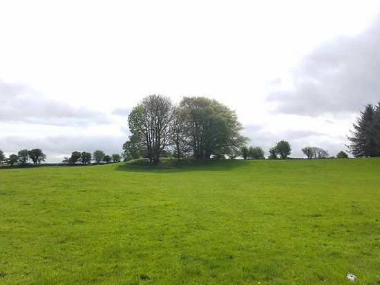 Glebe Stone Circles
