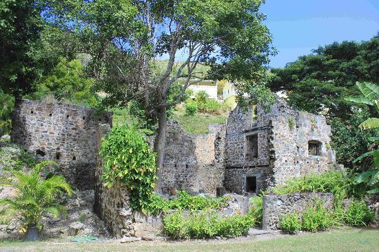 Estate Mount Washington Plantation