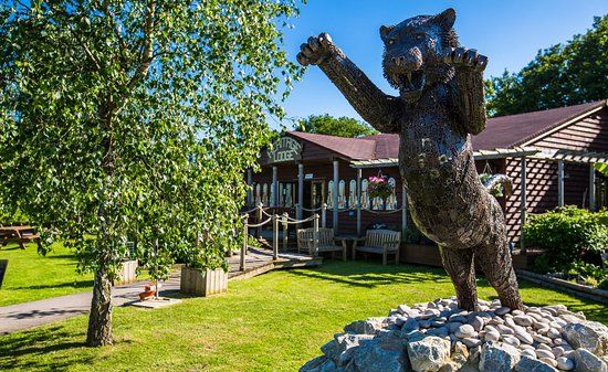 The Big Cat Sanctuary