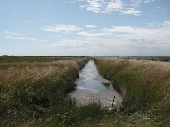 Orford Ness National Nature Reserve